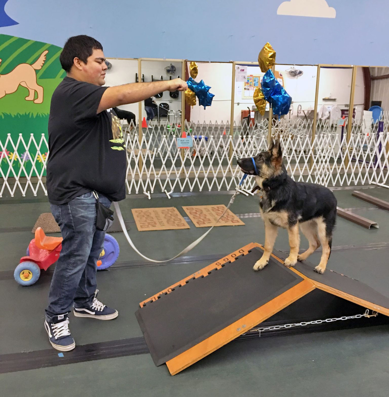 Classes Napa Valley Dog Training Club